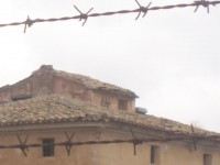 /album/palomares-antiguos/a102-1617-jpg/