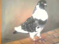 /album/dibujos-y-pinturas/a001zyv-jpg/