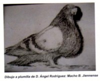 /album/dibujos-y-pinturas/a8qa-jpg/